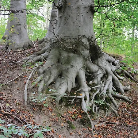 Stunning In Krusa With Wifi *