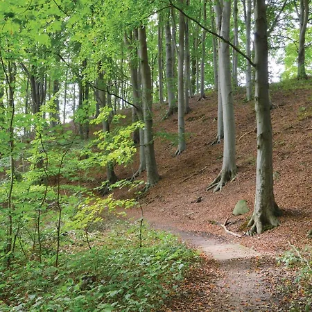 Stunning In Krusa With Wifi Kruså