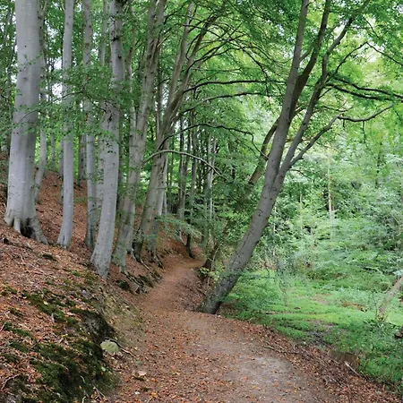 Stunning In Krusa With Wifi Prázdninový dům *